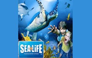 Sealife